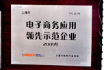 上海市电子商务应用领先示范企业